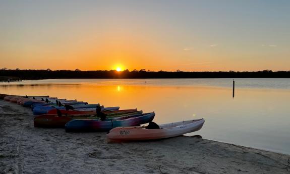 Kayaks lined up on a beach before a sunset kayak tour in Guana