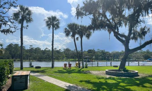 Backyard view at Palm Valley Outdoors Bar & Grill
