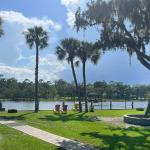 Backyard view at Palm Valley Outdoors Bar & Grill