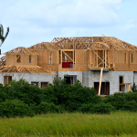 A full color image of a half-built home on the edge of a marsh. A palm tree blows in the wind in the foreground.